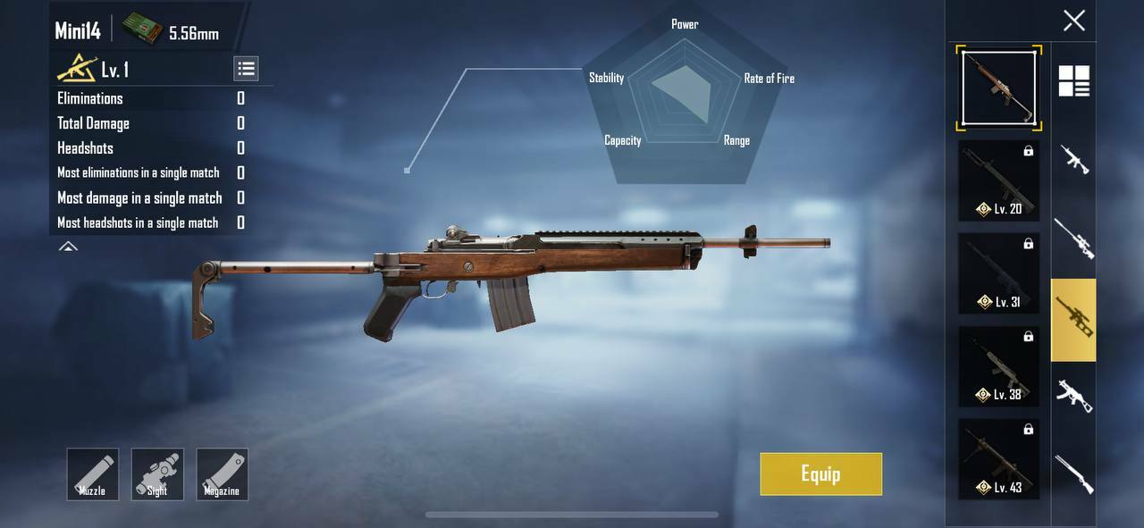 PUBG Mobile DMR Tier List Tier A