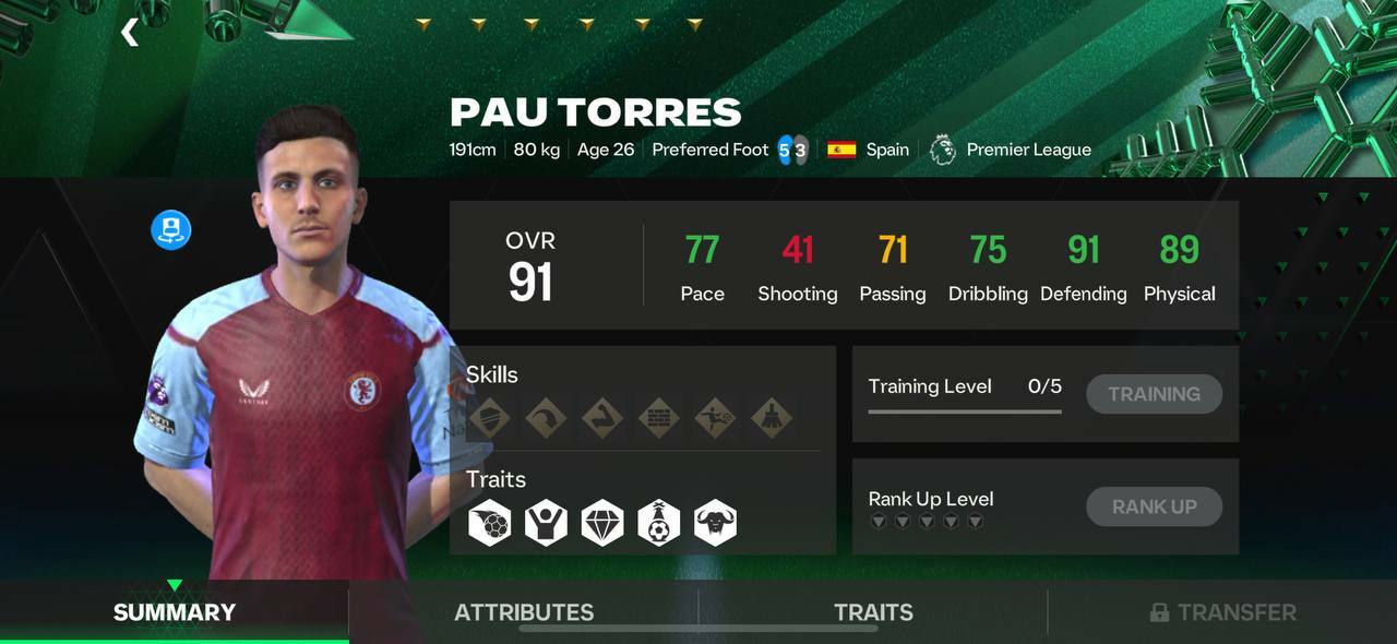 Winter Wildcards Pau Torres Cheapest Solution