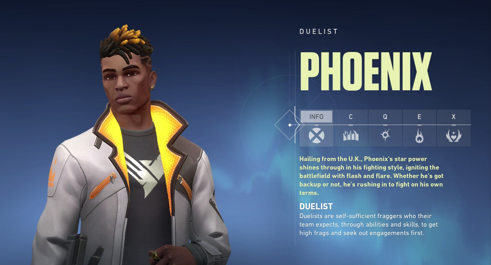 Phoenix overview