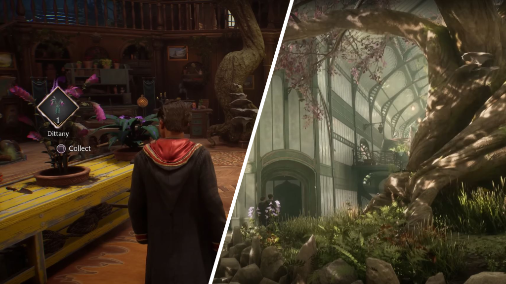 Plants Hogwarts L Egacy