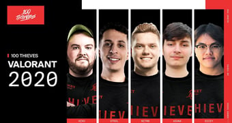 Player transfers 100 Thieves