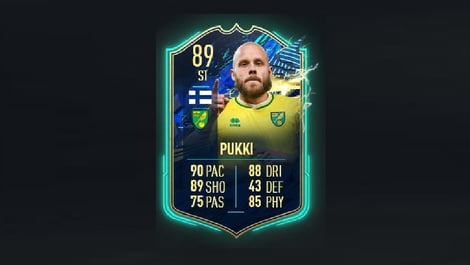 Pukki FIFA EM