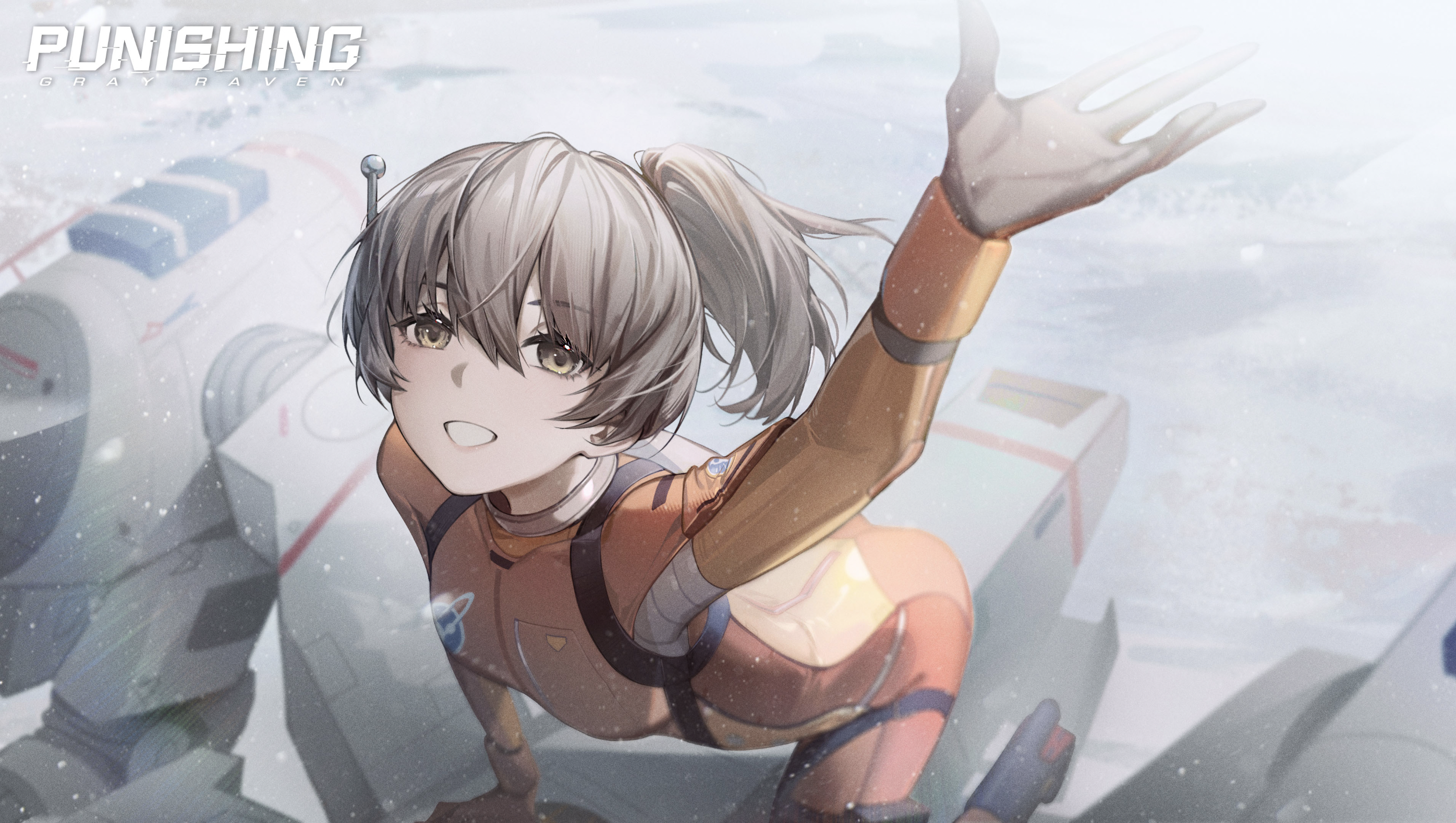 Punishing Gray Raven Codes