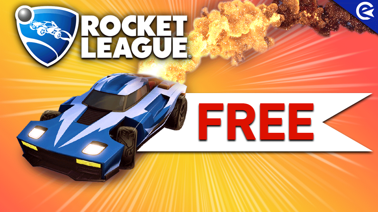 RLF2 P 4