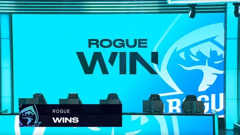 Rogwin 1306