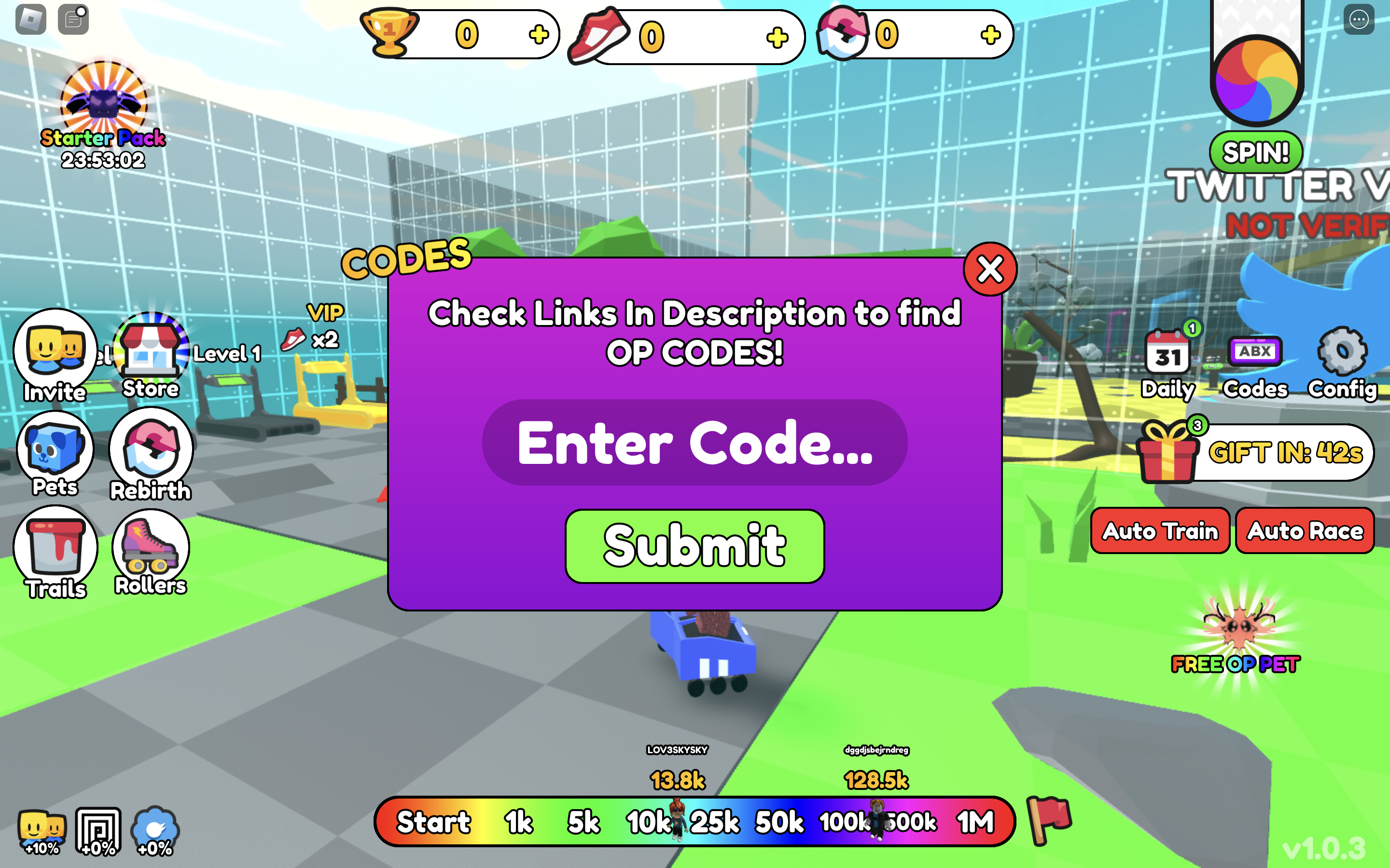 roller race simulator codes