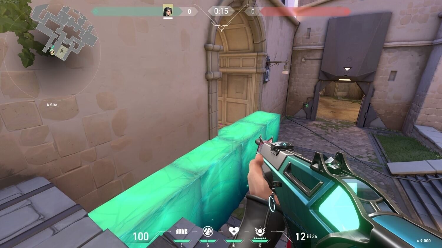 Sage Walls