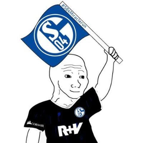 Schalke miraclerun