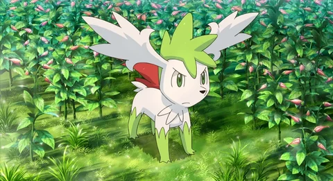 Shaymin Sky form