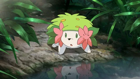 Shaymin