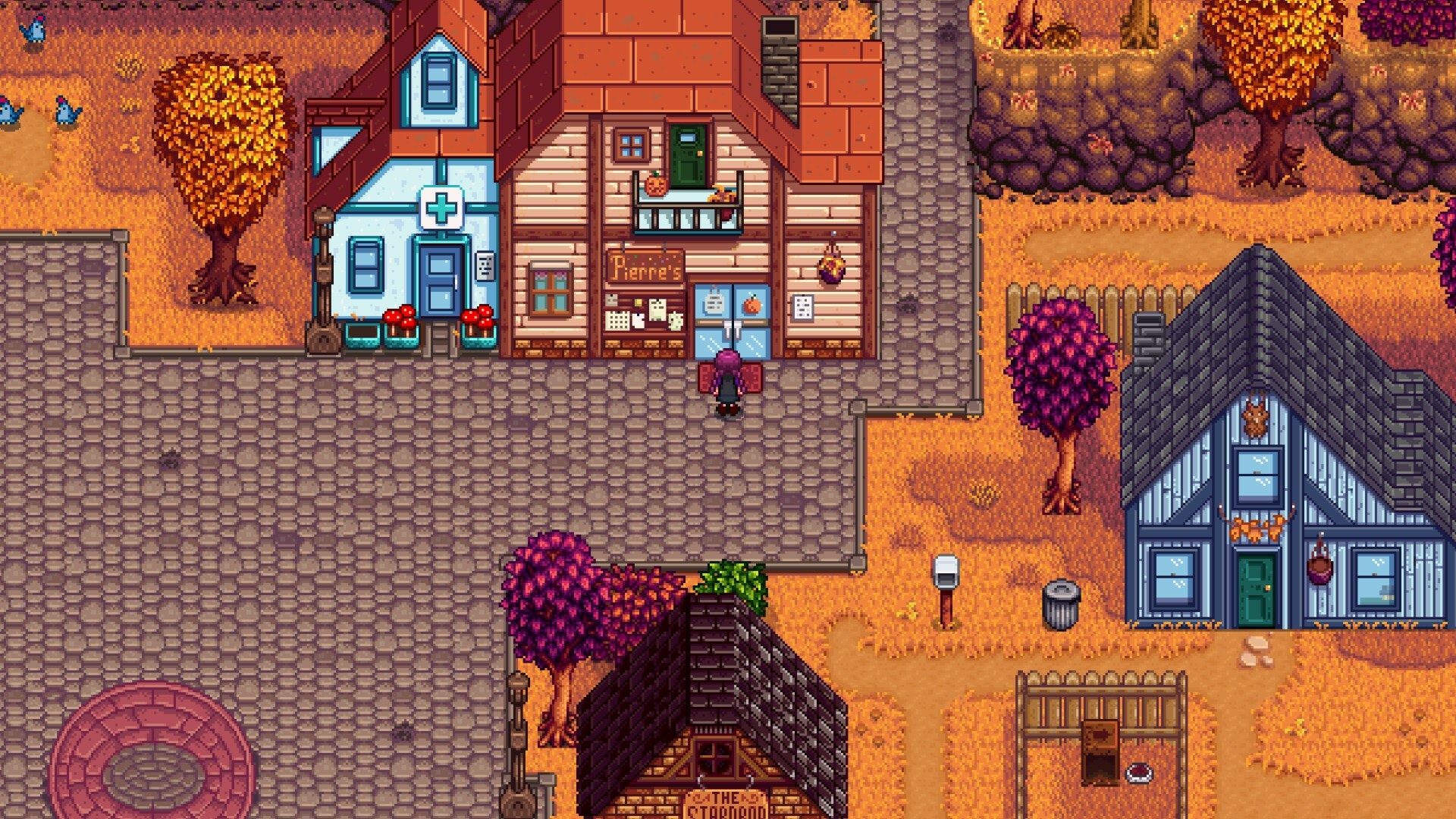 Stardew Valley Pierre's shop