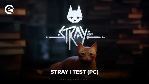 Stray Test PC