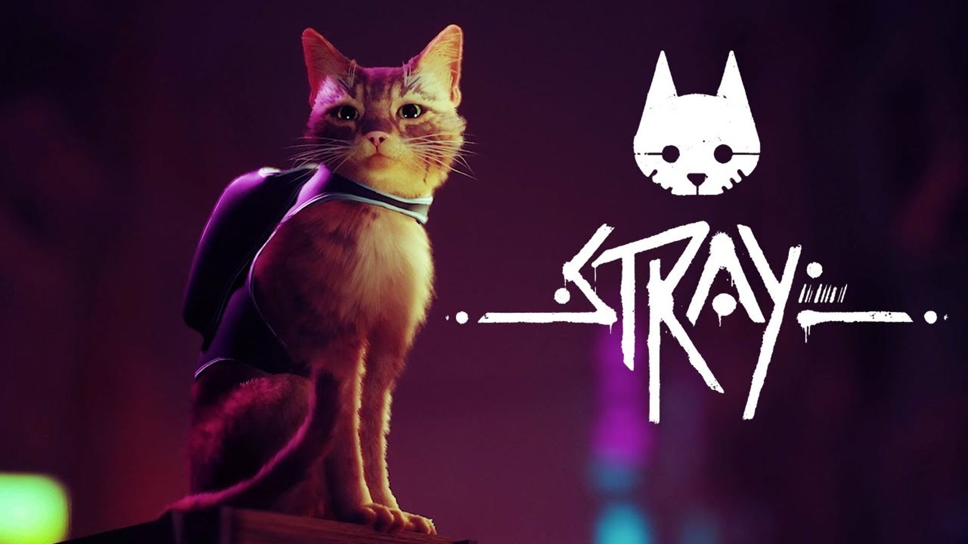 Stray1 A