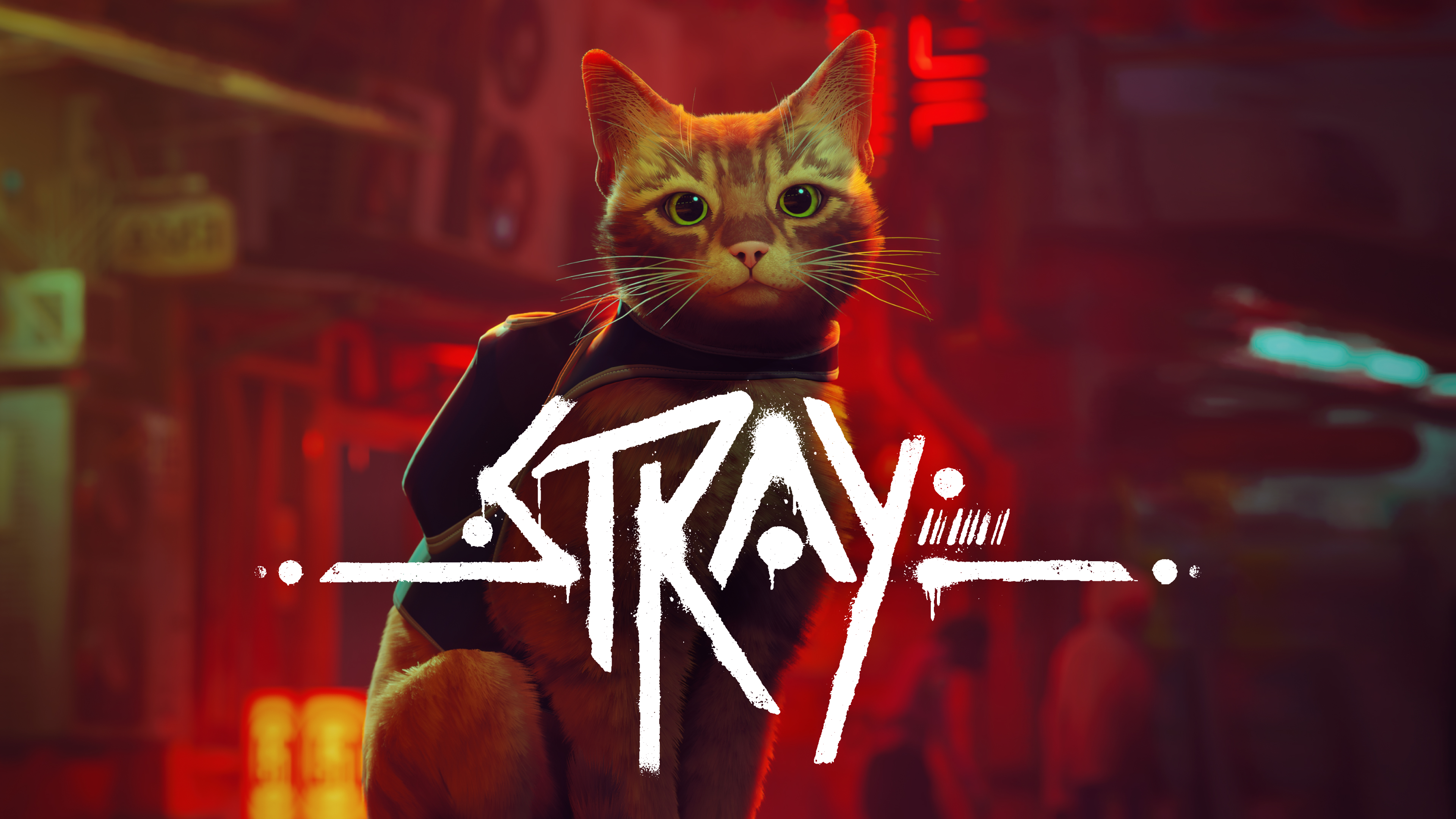 Stray keyart