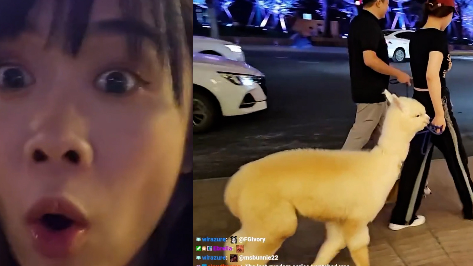 Streamer Alpaka