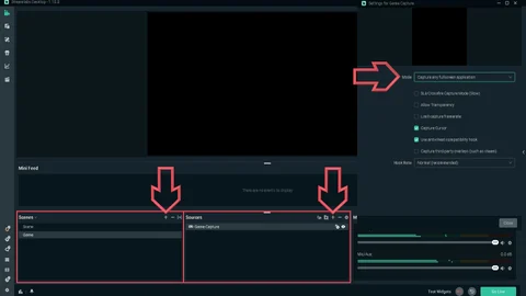 Streamlabs Game Capture Settings VF