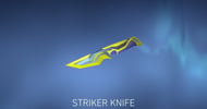 Striker 3