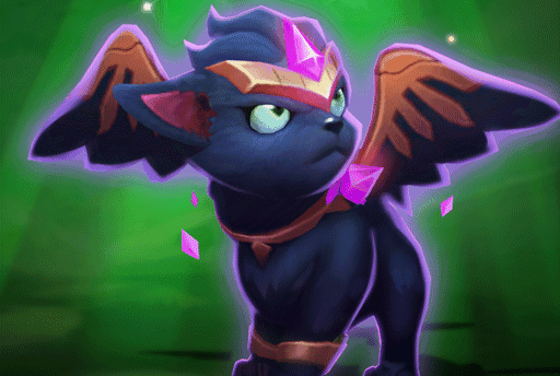 TFT Protector