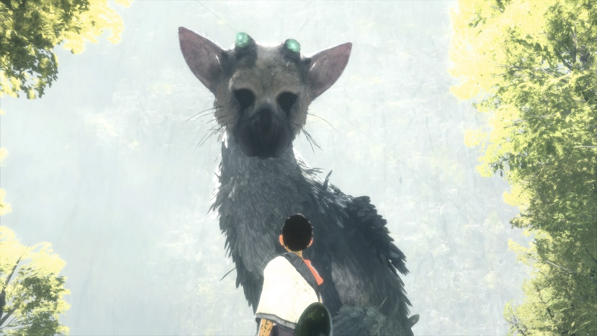 The Last Guardian Trico