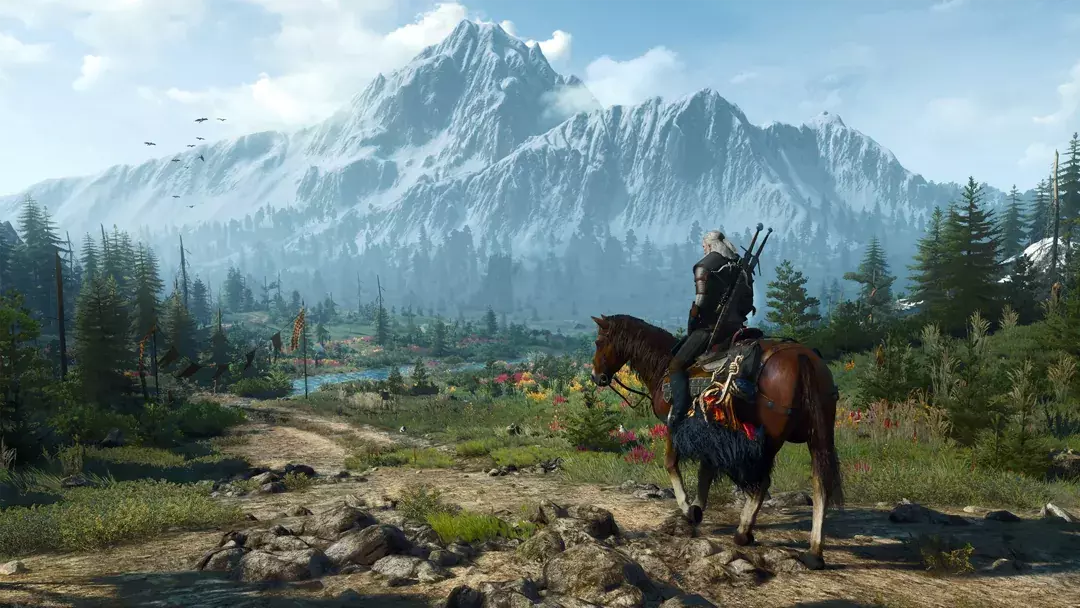 The Witcher 3 landscape