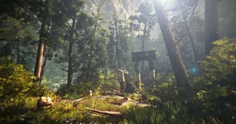 The Witcher 3 forest sun rays 2880x1800