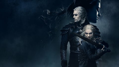 The Witcher Cover Image