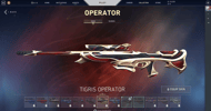 Tigris Operator