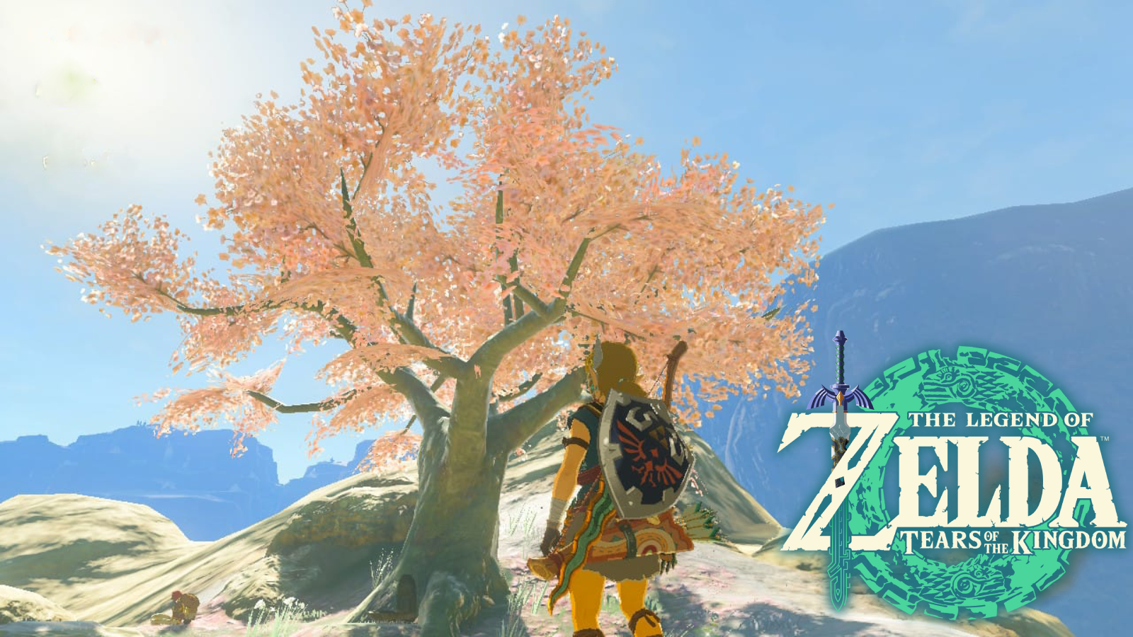 Zelda: Tears of the Kingdom Link in front of the Hebra cherry blossom tree