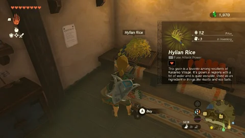 Tot K Hylian Rice General Store