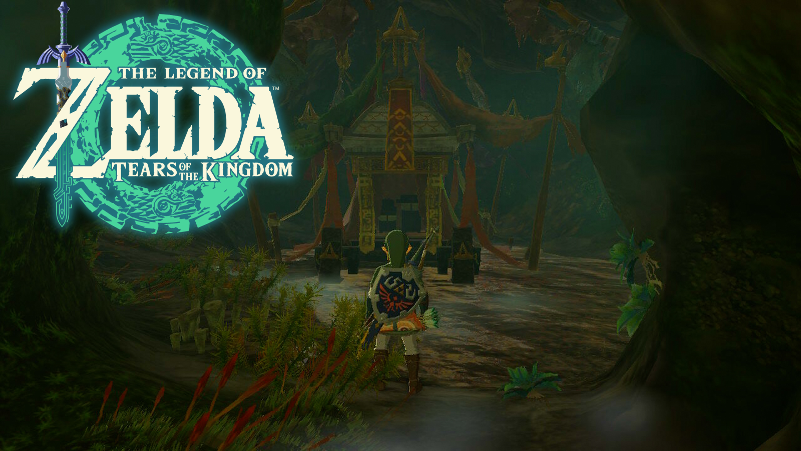 Zelda: Tears of the Kingdom Link in the Northern Hyrule Plain Cave