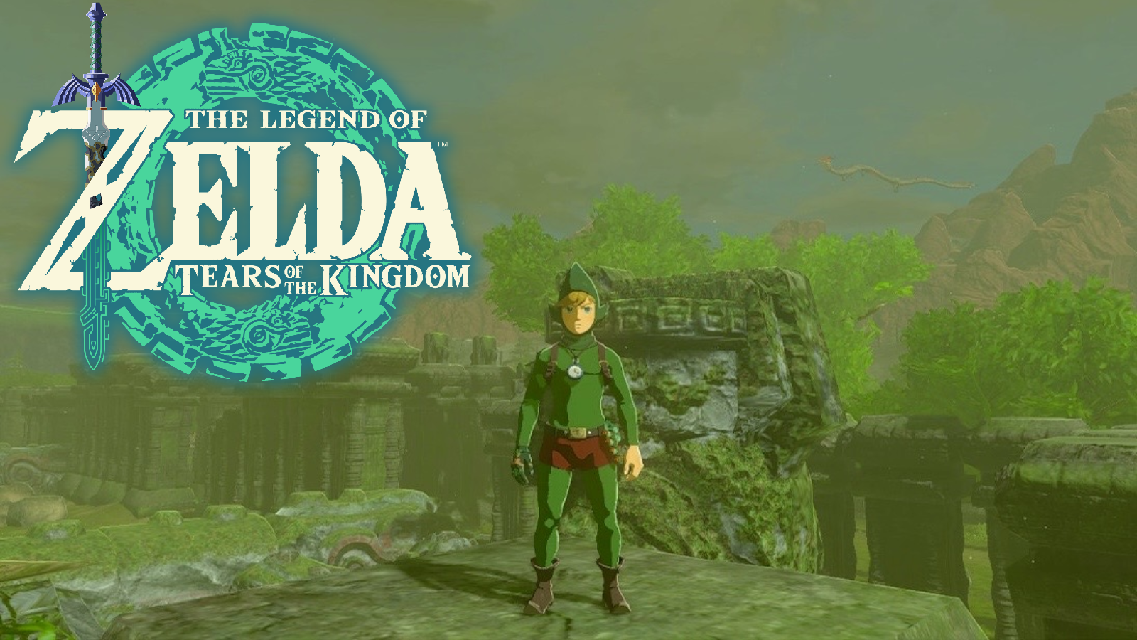 Zelda: Tears of the Kingdom Tingle's Armor