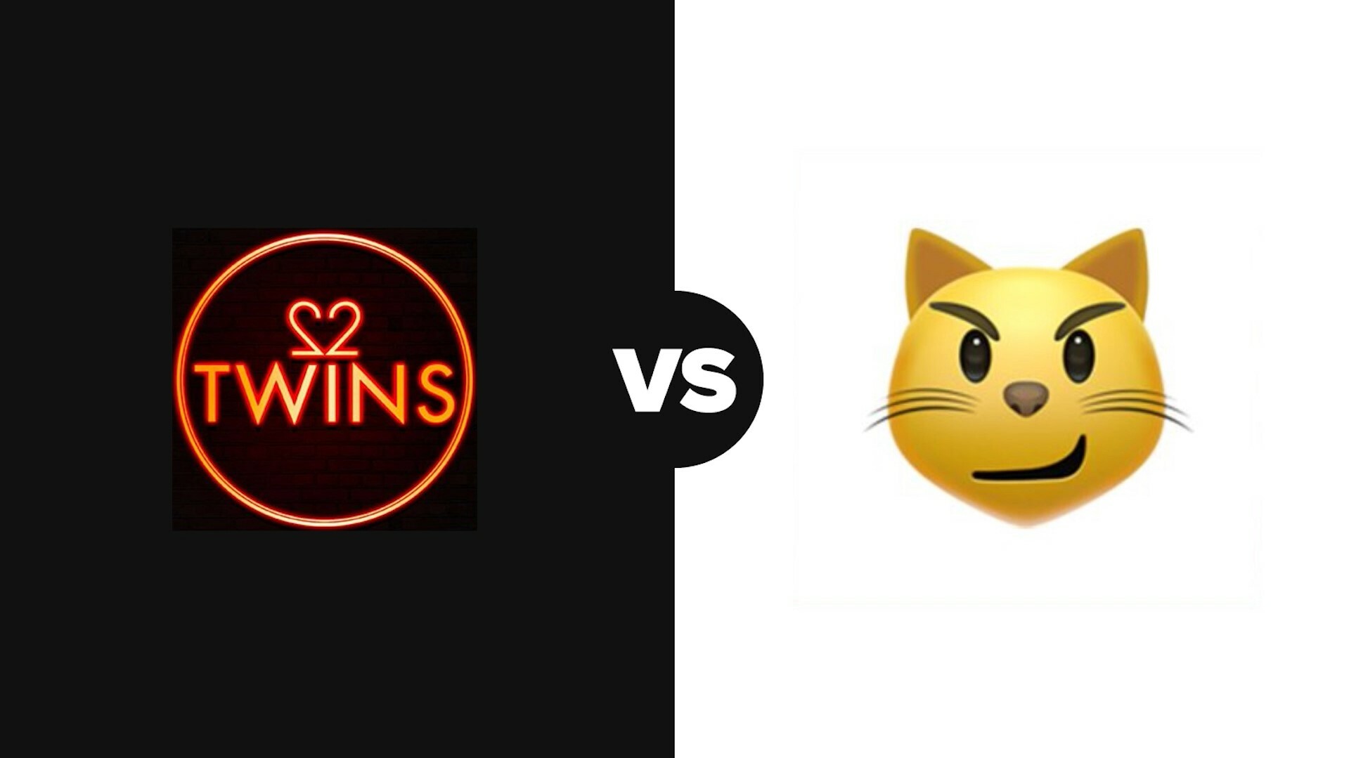 Twins Cats Video Banner