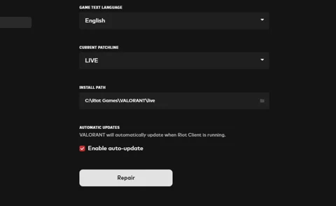 Valorant Repair Files