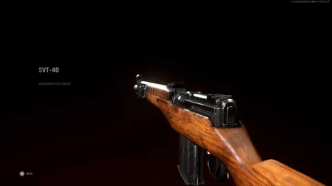 Vanguard Loadouts SVT 40