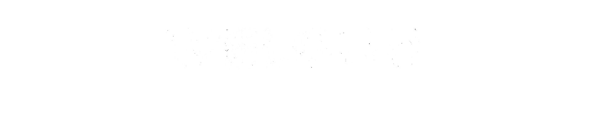WELGUN PNG