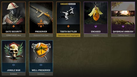 Warzone Bundles Ancient Amber