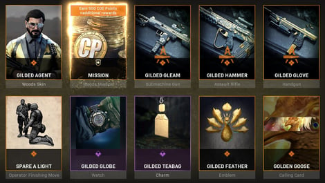 Warzone Bundles Gilded Agent