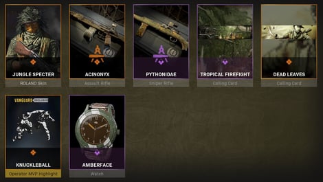 Warzone Bundles Pro Pack Skull Collector