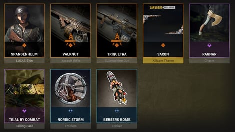 Warzone Bundles berserker