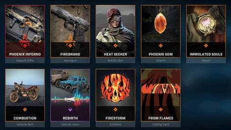 Warzone Firestorm maxis mastercraft Bundle