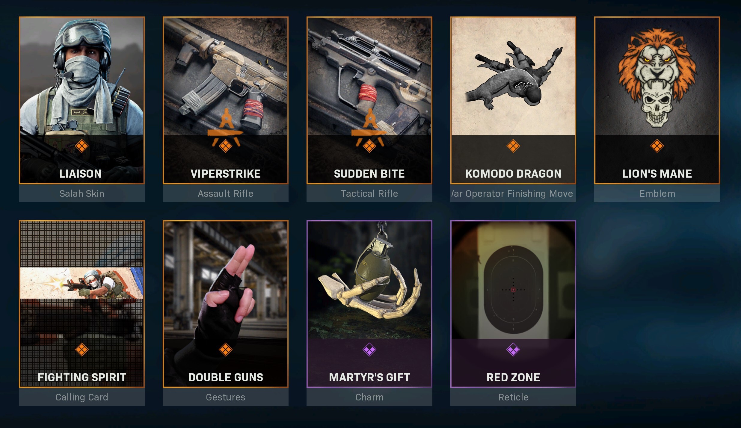 Warzone Salah Operator Bundle