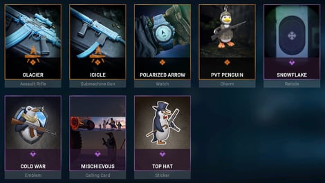 Warzone bundles Antarctica