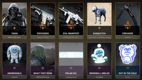 Warzone bundles Polar Nightmare