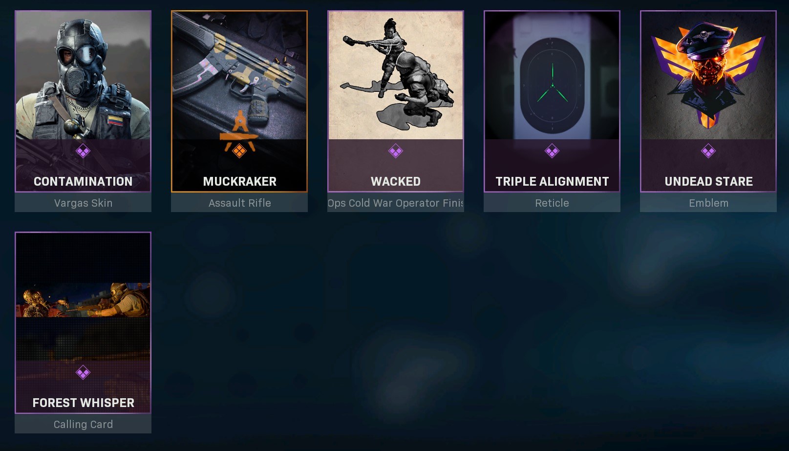 Warzonebundles infiltrate