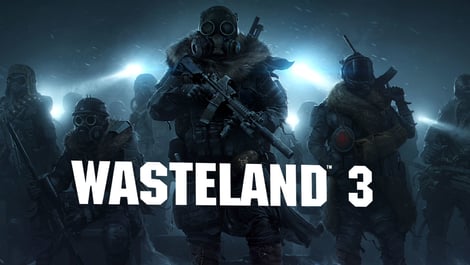 Wasteland 3