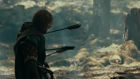 What Happened To Each Member Of The Fellowship After The Lord of the Rings Boromir Death