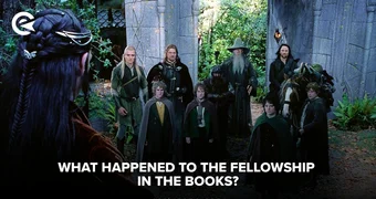 What happened to the fellowship in the books