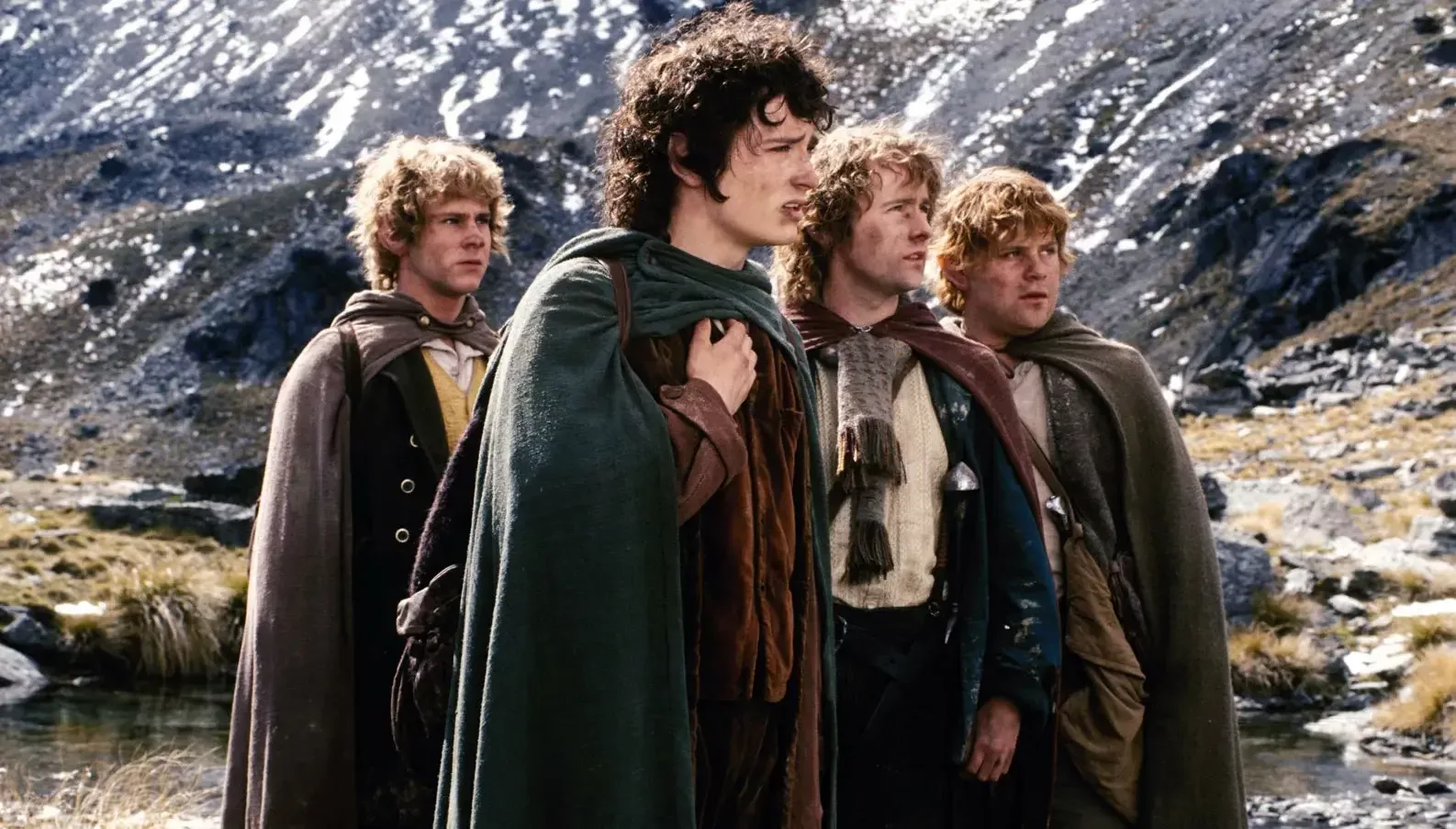 What Happened To Every Memeber of the Fellowship In The Books