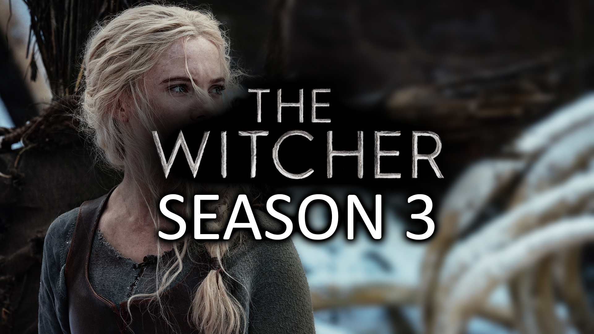 Witcher1 1