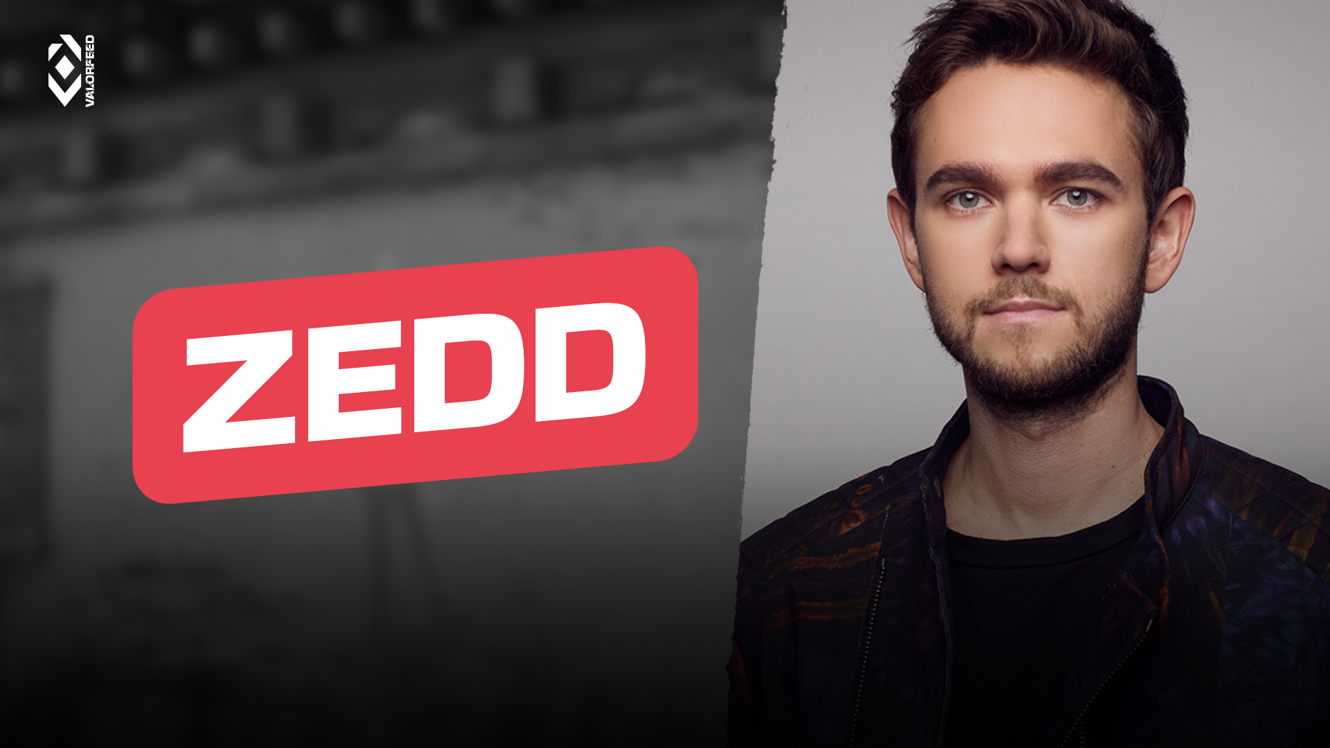 Zedd Valorant Player